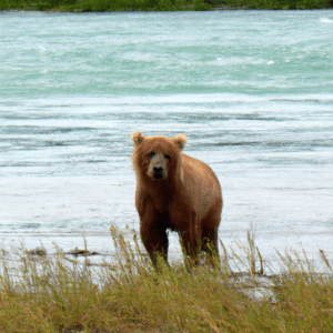 Katmai, Alaska