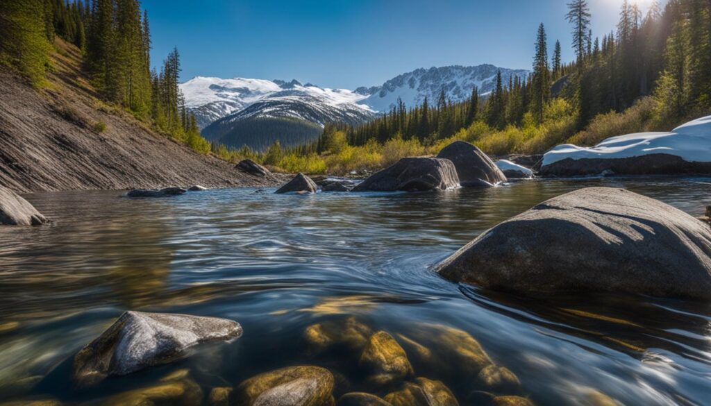 Arctic Grayling Migration