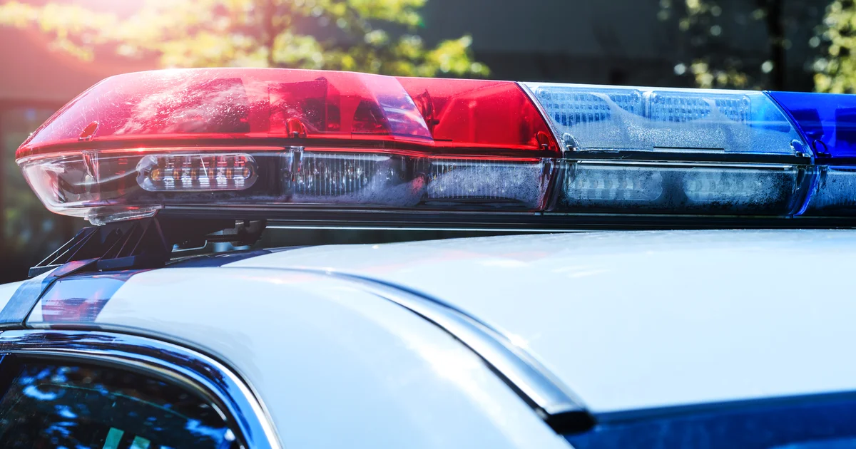 Child fatally hit by pickup truck in West Michigan, sheriff's office says