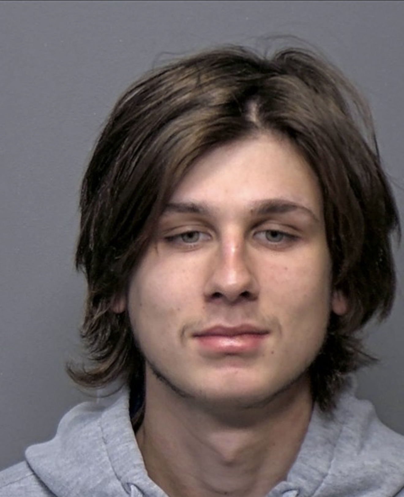 Burglary Charge Filed After Security Footage Shows Man Removing Pet Cat