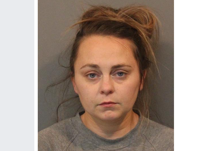 Cedar Lake Woman Charged After Investigators Uncover Irregular Spending in Cub Scouts Account