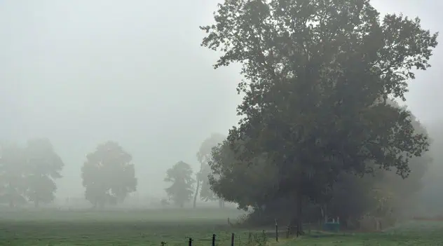 Fog, Sun, Repeat: Tampa Bay Set For Warm Stretch Before Big Chill