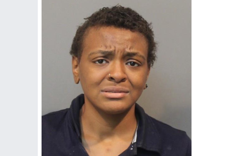 Lynwood Woman Faces Multiple Charges After Retail Theft and Officer Injury in Schererville