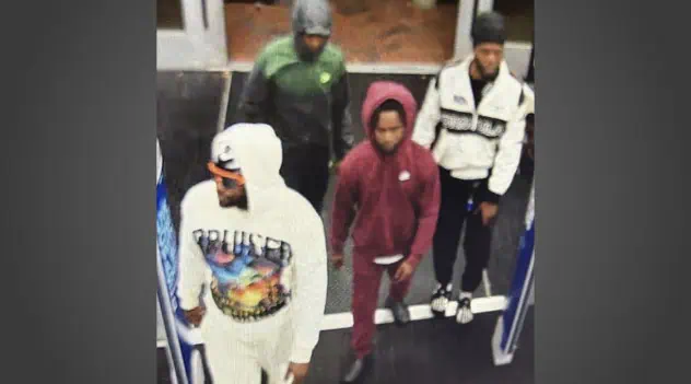 Deputies Searching for 4 Suspects in Wesley Chapel Retail Theft