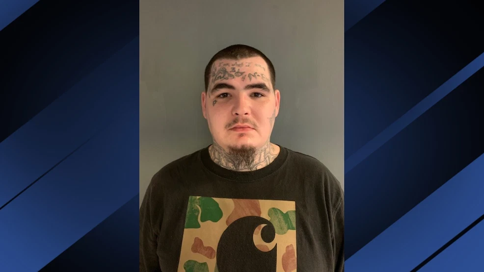 Huntington felon pleads guilty to possessing a firearm