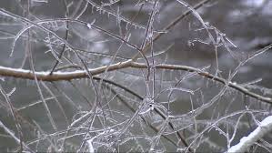 Kanawha County Residents Face Power Outages and Roadblocks Amid Storm Cleanup