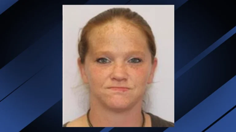 Woman accused of fleeing while DUI in Charleston, deputies say