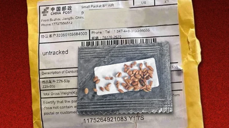 Agriculture officials caution public about Chinese ‘brushing scam’ posing biosecurity risk