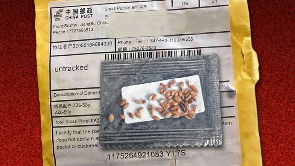 Agriculture officials caution public about Chinese ‘brushing scam’ posing biosecurity risk