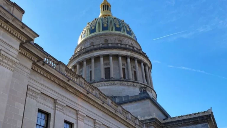 Bill Allowing 18- to 20-Year-Olds to Carry Concealed Weapons Without Permit Passes Senate