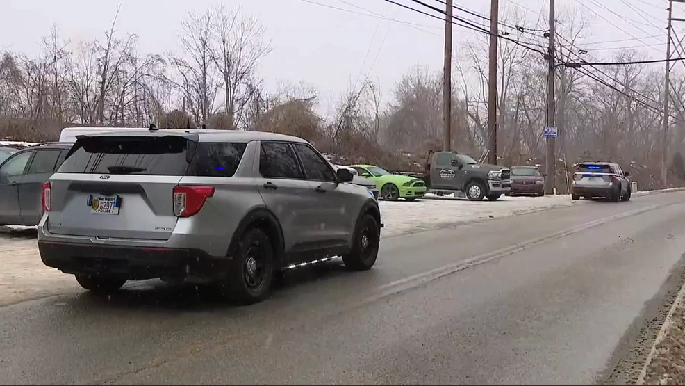 Man killed after being struck by train in Charleston, police say