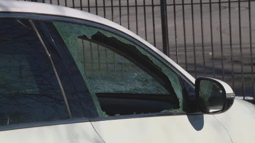 Hyde Park Residents Demand Increased Surveillance After 30 Cars Vandalized