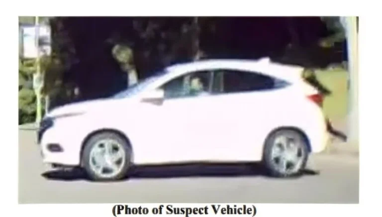 Search Ongoing for Hit-and-Run Driver After Woman Seriously Injured Near Dodger Stadium