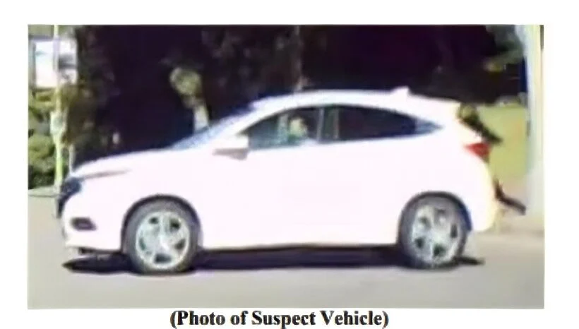 Search Ongoing for Hit-and-Run Driver After Woman Seriously Injured Near Dodger Stadium