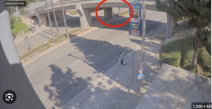 Man arrested after allegedly attempting to kidnap mother and teenage daughter in Anaheim