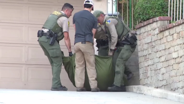 Wildlife officials capture bear and two cubs after woman injured in Monrovia encounter