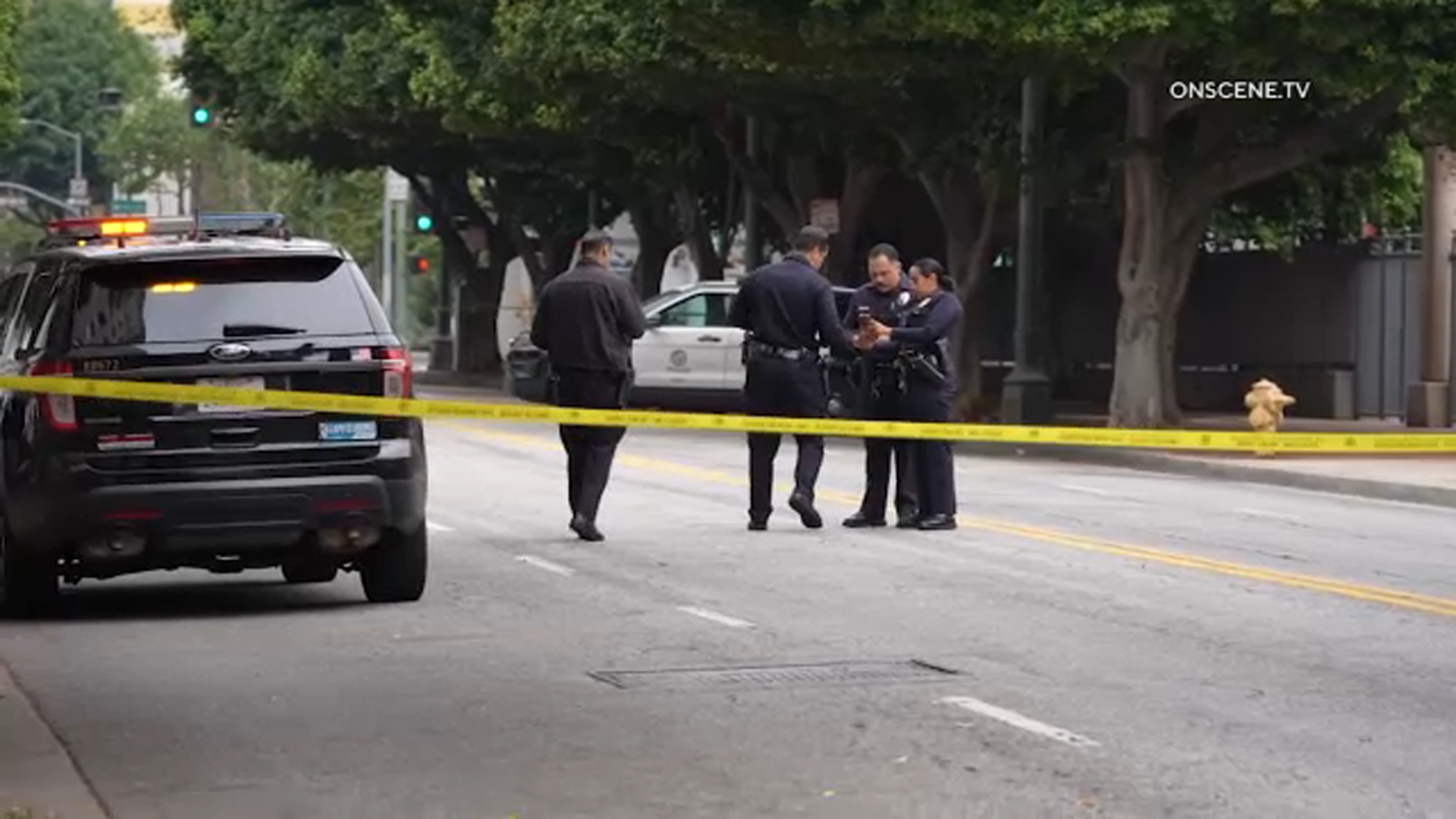 Downtown Los Angeles Stabbing Suspect Arrested; Linked to 2025 Homicide at Homeless Encampment