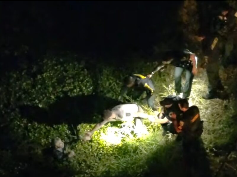 Florida Man Dies in Accidental Drowning After Leg Gets Entangled in Boat Rope