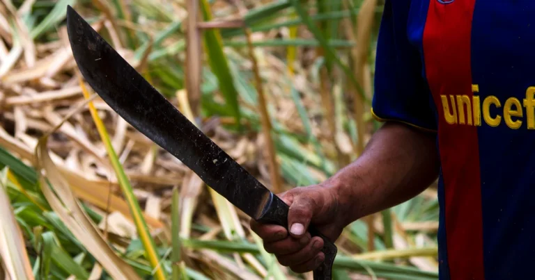 Florida Man Arrested After Alleged Machete Attack on Boat